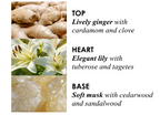 Molton Brown Hand Cream Heavenly Gingerlily 40ml