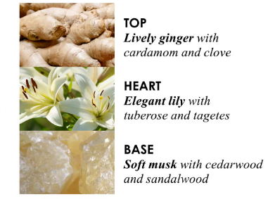 Molton Brown Hand Cream Heavenly Gingerlily 40ml