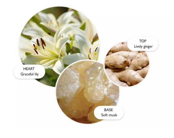 Molton Brown Hand Cream Heavenly Gingerlily 40ml