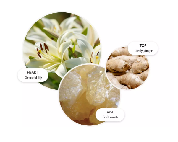 Molton Brown Fine Liquid Hand Wash Heavenly Gingerlily 300ml