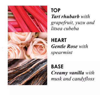 Molton Brown Delicious Rhubarb & Rose Hand Cream 40ml