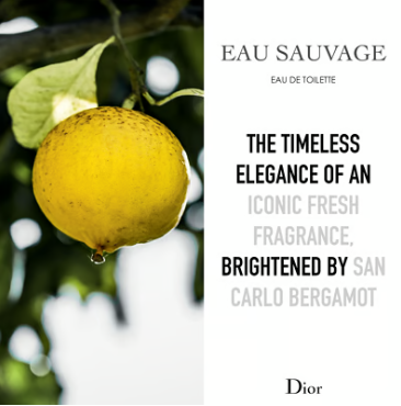 Dior Eau Sauvage Eau de Toilette 100ml