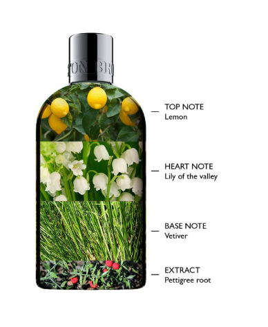 Molton Brown Pettigree Dew Hand Lotion 300ml
