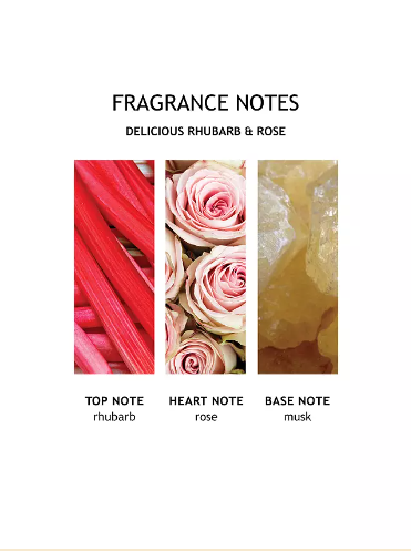 Molton Brown Delicious Rhubarb & Rose Shower Gel, 300ml