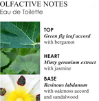 Molton Brown Geranium Nefertum Eau De Toilet 100ml
