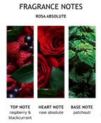 Molton Brown Rosa Absolute Body Lotion 300ml