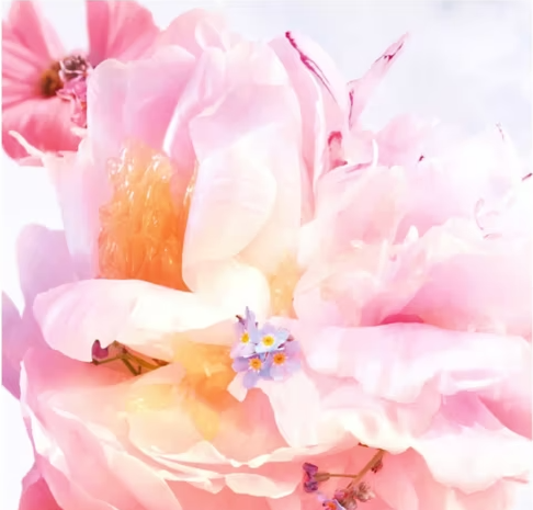Dior Miss Dior Blooming Bouquet Eau De Toilette 100ml