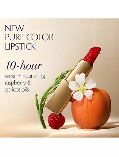 Estée Lauder Pure Colour Matte Lipstick 3.5g - Shade: 600 Visionary