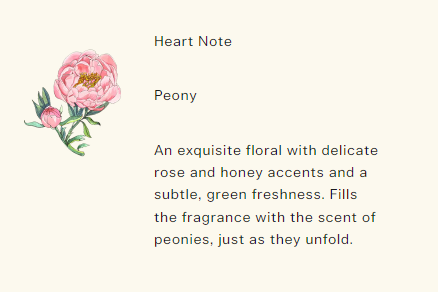 Jo Malone London Peony & Blush Suede Cologne  100ml