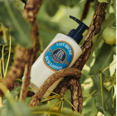 L'occitane Shea Butter Rich Body Lotion 250ml