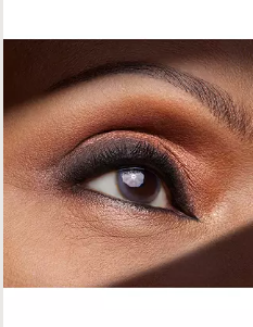 Estée Lauder Pure Color Envy Luxe Eyeshadow Quad - Shade : 08 Wild Earth
