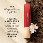 Estee Lauder Pure Color Whipped Matte Lip Color With Morning Butter 9ml - Shade : 931 Hot Shot
