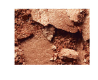 Mac Mineralize Skinfinish Highlighter 10g - Shade: Gold Deposit