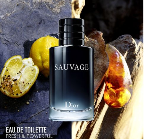 Dior Sauvage Eau de Toilette 100ml