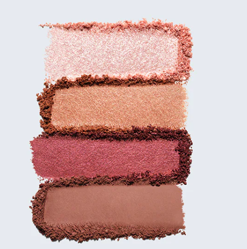 Estee Lauder Pure Color Envy Luxe Eyeshadow Quad - Shade : 01 Rebel Petals