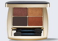 Estée Lauder Pure Color Envy Luxe Eyeshadow Quad - Shade : 08 Wild Earth