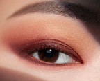 Estée Lauder Pure Color Envy Luxe Eyeshadow Quad - Shade : 08 Wild Earth