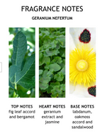 Molton Brown Geranium Nefertum Bath & Shower Gel 300ml