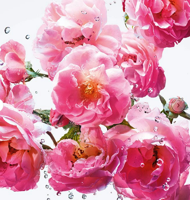 Dior Miss Dior Rose N'Roses Eau De Toilette Roller-Pearl 20ml