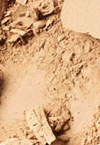 Mac Studio Fix Powder Plus Foundation 15gm - Shade: C35