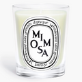 Diptyque Mimosa Candle 190g