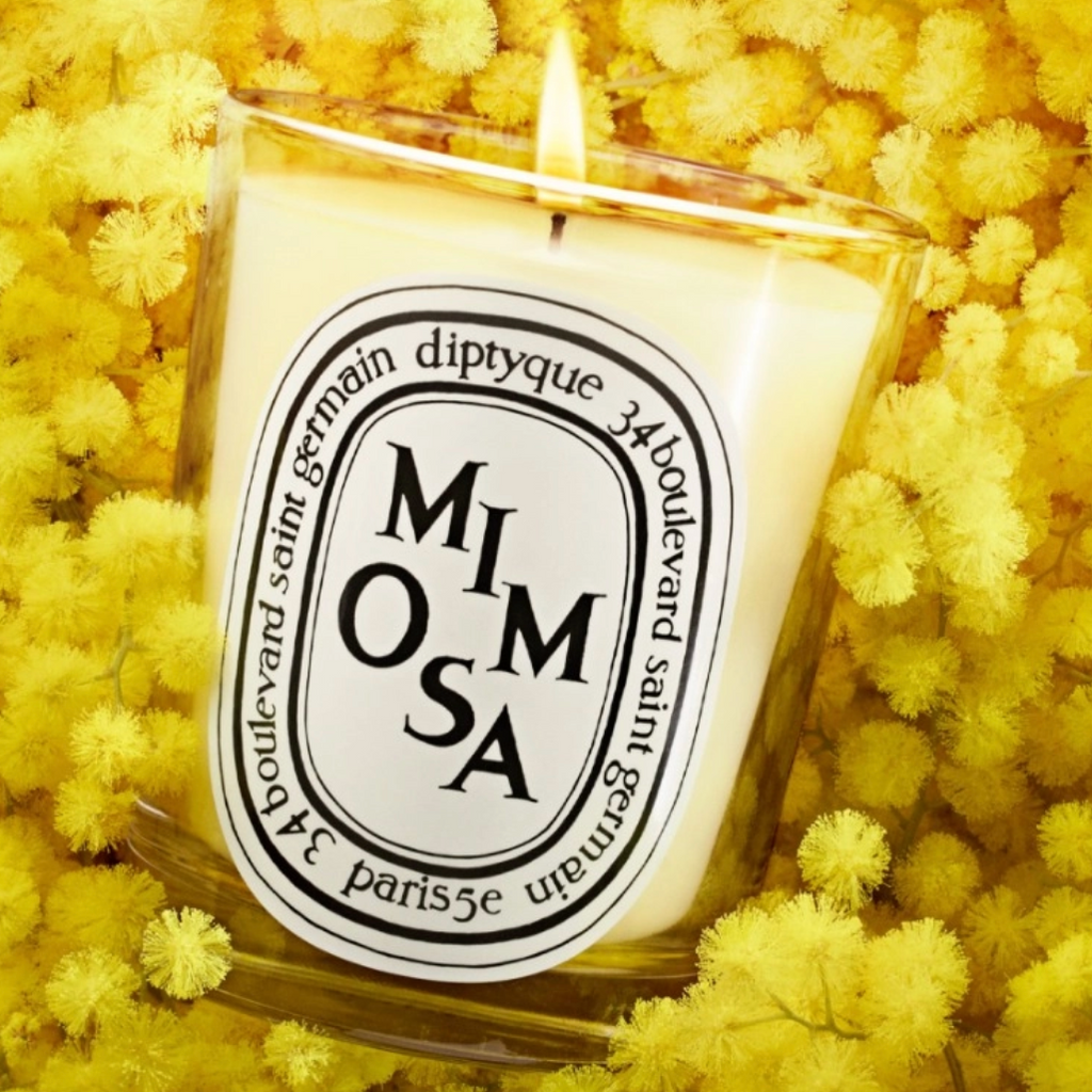 Diptyque Mimosa Candle 190g