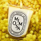 Diptyque Mimosa Candle 190g