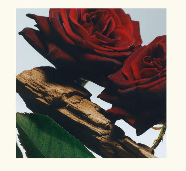 Jo Malone Velvet Rose & Oud Body & Hand Wash 250ml