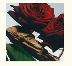 Jo Malone Velvet Rose & Oud Body & Hand Wash 250ml