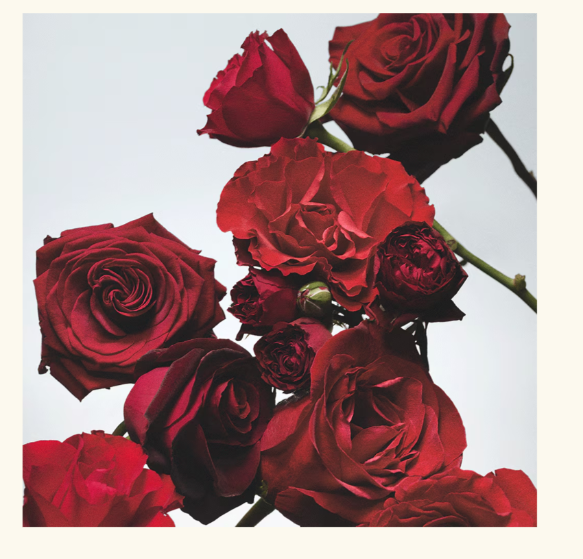 Jo Malone London Red Roses Scented Candle 200gm