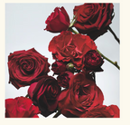 Jo Malone London Red Roses Scented Candle 200gm