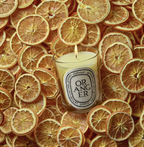 Diptyque Oranger Candle 190g