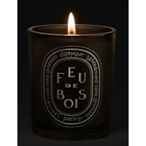Diptyque Feu De Bois Scented Candle 300g